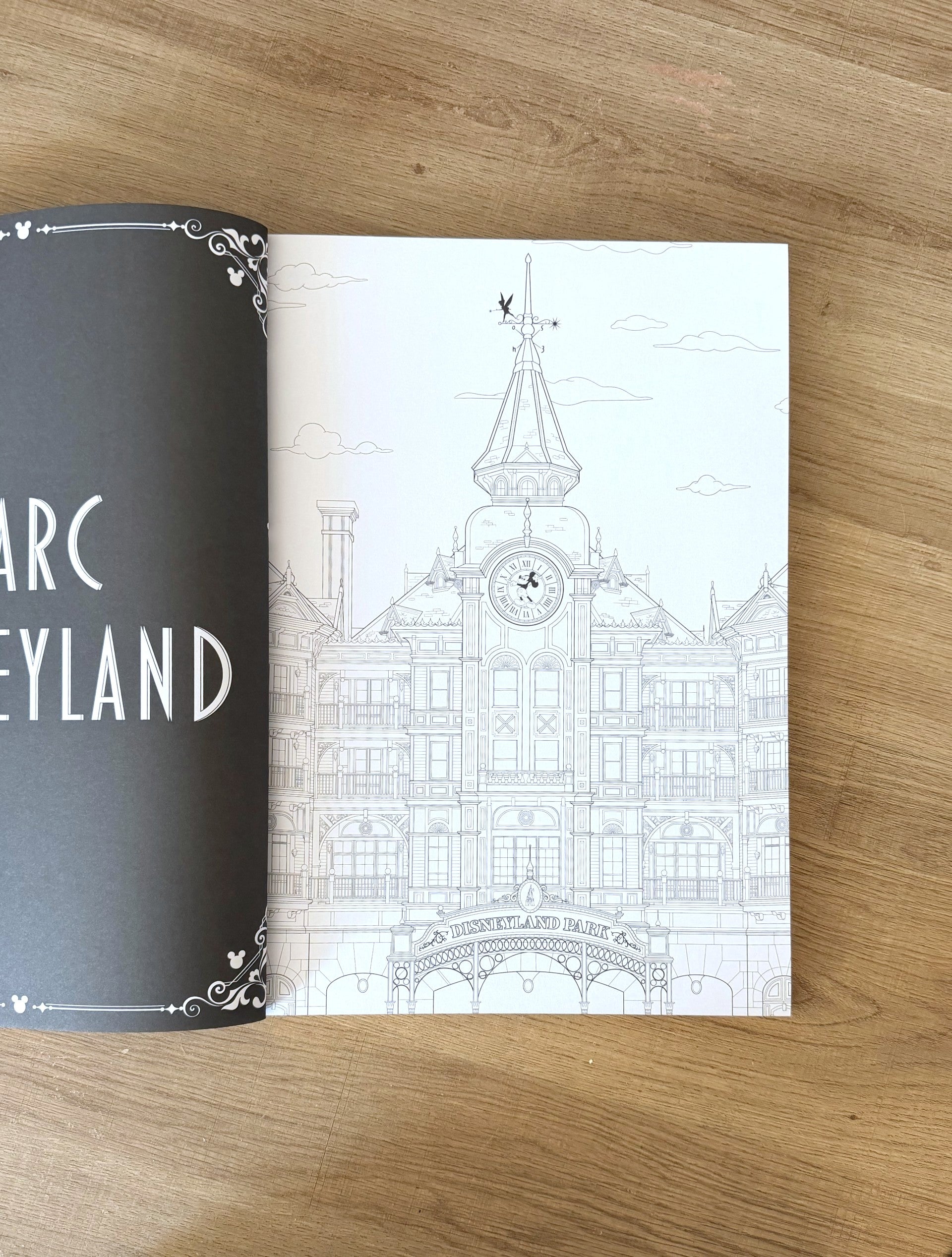Disneyland Paris - Livre de coloriage Art Thérapie