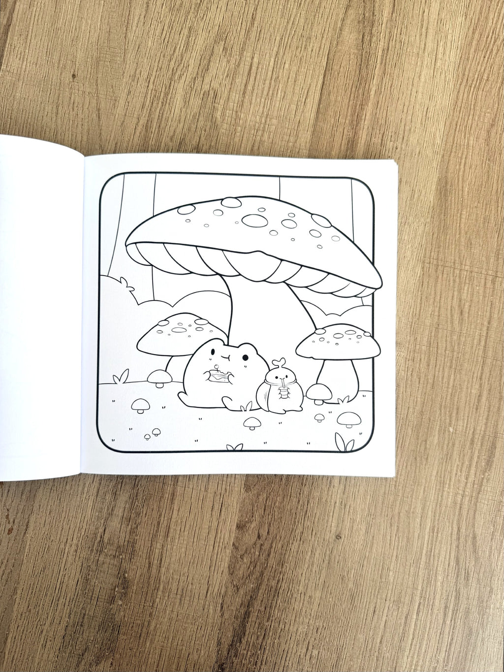 Cozy Colo - Forêt Enchantée