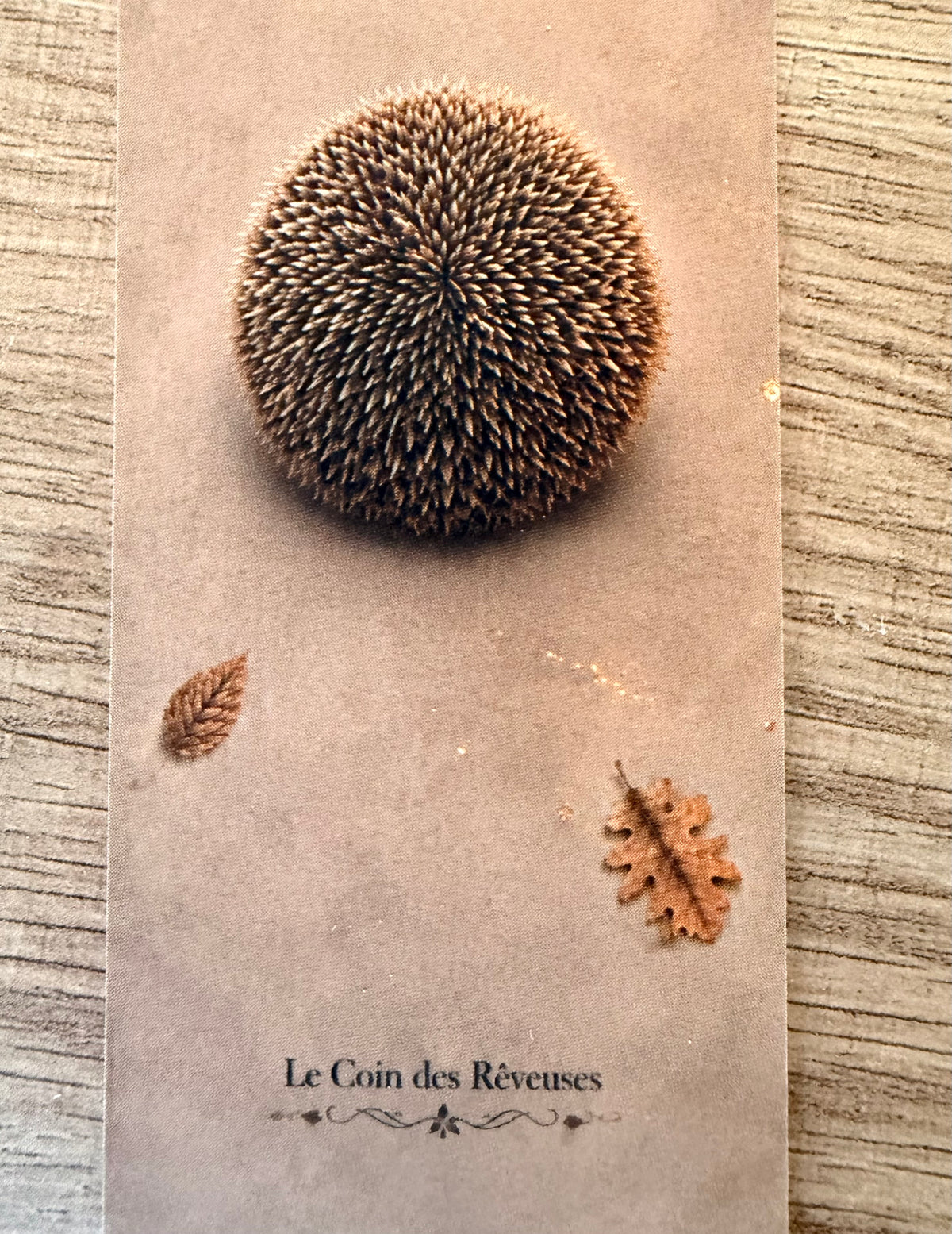 Marque-Page « Petit Hérisson »