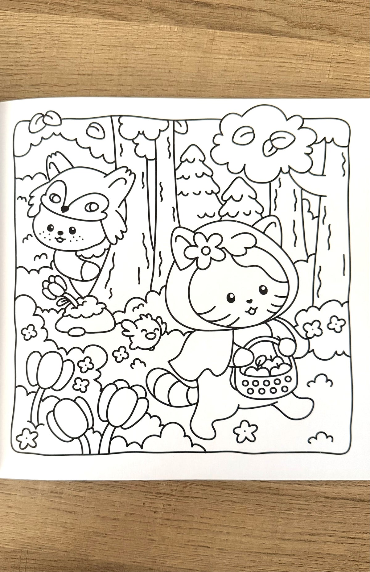 Cozy Colo - Contes & Légendes
