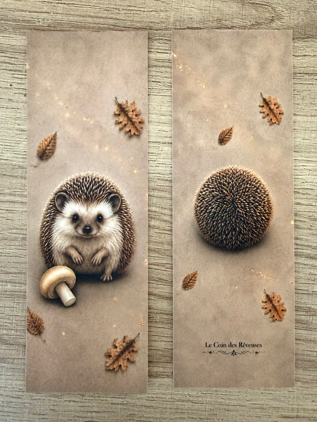Marque-Page « Petit Hérisson »