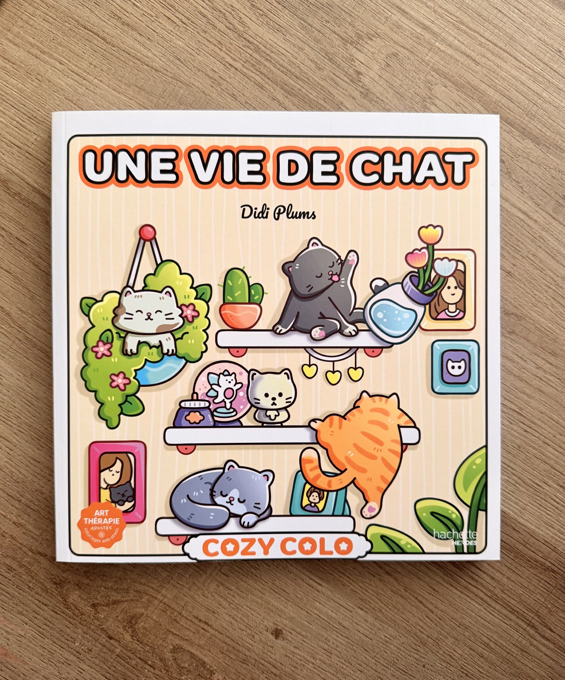 Cozy Colo - Une vie de chat